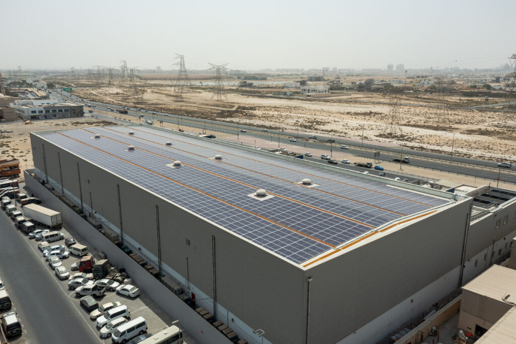 KIBSON-BACKSIDE-VIEW