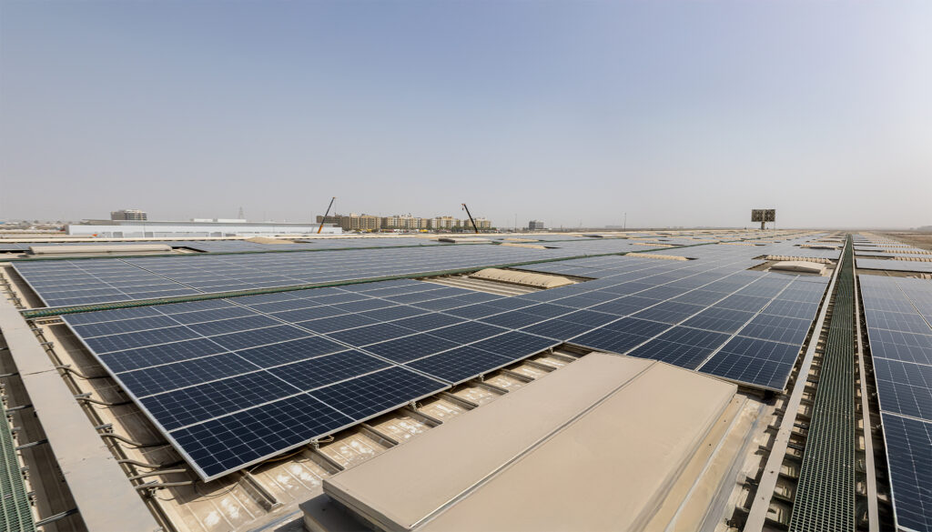 Untitled_Panorama-11